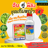 ? ชุดเก็บหญ้า4 ดาราเอมีน(หมาน้ำ)+ซันรีอุส ขนาด 1ลิตร+50กรัม เน้นกก ใบกว้าง ตุ้มหูเพชร กกขนาด ผักปอดนา