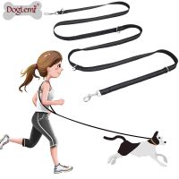 [COD] Multifunctional traction training dog safety 3 meters long chain walking leash pet belt