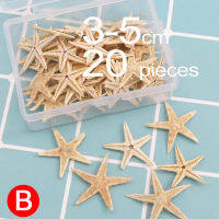 mucanjhasdb 20/50/100PCS Natural Starfish Seashell Beach Craft Natural DIY Wedding Home Decor