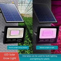 Full Spectrum 200W Solar LED Grow Lights Floodlight Phyto Lamp For Outdoor Garden Greenhouse Hydroponic Plant Growth Lighting