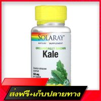 Fast and Free Shipping Solaray, Organically Grown Kale, 440 mg, 100 Vegcaps Ship from Bangkok