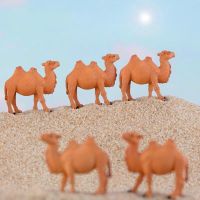 Mini Camel Miniature Figurines สัตว์เรซิ่นหัตถกรรมของเล่นเด็กเดสก์ท็อปเครื่องประดับ Garden Micro Landscape ตกแต่งคริสต์มาส1PC