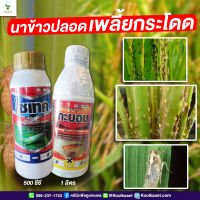 ชุดเพลี้ยกระโดดกำแพง กำจัดป้องกัน เพลี้ยหอย เพลี้ยจั๊กจั่น เพลี้ยกระโดดสีน้ำตาล เพลี้ยอ่อน คูลเกษตร  KK195