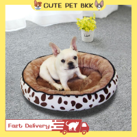 ?Cute Pet BKK? ที่นอนสัตว์เลี้ยง ที่นอนหมา ที่นอนสุนัข ที่นอนแมว เตียงสุนัขสัตว์เลี้ยง ที่นอนแบบเตียง ปรับได้2ด้าน เบาะนอนสัตว์เลี้ยง