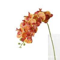 การจำลองสาขาเดียวดอกไม้ปลอมการพิมพ์3d 5หัวกล้วยไม้ Phalaenopsis รู้สึกจริงสำหรับตกแต่งบ้านงานแต่งงาน