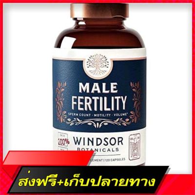 Delivery Free Male Fertility vitamin nourishing spermFast Ship from Bangkok