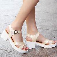 Women sandals Buckle Fashion Heels sandals woman Plus size 41/42/43/44/45 Sexy Womens sandals 2020 New Arrival