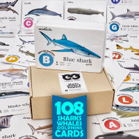 แฟลชการ์ด ฉลาม-วาฬ-โลมา Flash Cards Sharks, Whales, Dolphins บัตรคำ การ์ดคำศัพท์ เนิร์ดดี้อาว (Nerdy Owl) จำนวนมากที่สุดถึง 108 ใบ ของเล่นเสริมพัฒนาการ