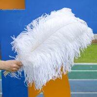 Wholesale Feathers 15-50cm for Wedding Tablecenter Jewelry Decoration Accessories Crafts Plumes