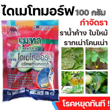 ไดเมโทมอร์ฟ50 ราคาถูก ซื้อออนไลน์ที่ - ต.ค. 2023 | Lazada.co.th