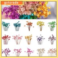 GOTORADE 30pcs งานฝีมือ DIY การตกแต่งบ้าน พืชธรรมชาติ ดอกไม้ประดิษฐ์ ดาวดวงเล็ก ช่อดอกไม้ มินิเดซี่