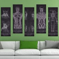 【hot】┋✴✼  Painting Wallpaper Print Human Anatomy Poster Wall Self-adhesive Picture Bedroom Background