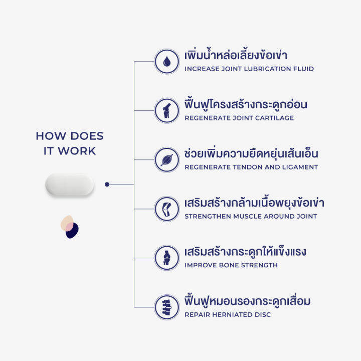 ovocal-calcium-l-threonate-nem-for-joint-30-tab-vitamin-k2-d3-30-tab-ชุดแก้ปวดเข่า-ฟื้นฟูข้อเข่าเสื่อมและสลายพังผืด