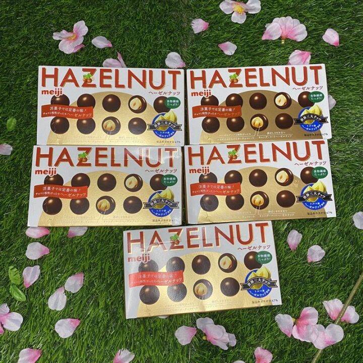 Meiji Hazelnut chocolate from Japan Lazada PH