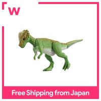 Takara Tomy Ania AL-22สัตว์ Pachycephalosaurus ของเล่นไดโนเสาร์3ปีขึ้นไป