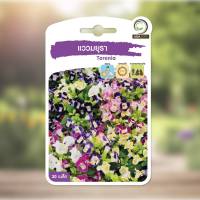 เมล็ดพันธุ์ ดอกไม้ แววมยุรา Torenia ( 30 เมล็ด )