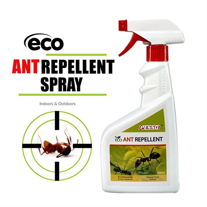 Eco Ant Spray Insect Repellent Semut Spray Serangga 杀虫剂 蚂蚁剂 Lazada