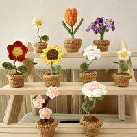 Handwoven Bouquet Potted Knitting Flower Potted Plant Ornament Crafts for School Office Kitchen Dining Table Decoration