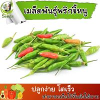 เมล็ดพันธุ์ พริกขี้หนู(Brid Pepper) 400 เมล็ด ปลูกง่าย ปลูกได้ทั่วไทย #เมล็ดผัก