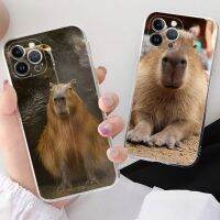 Cute Capybara Phone Case For iPhone XR X XS Max 14 13 Pro Max 11 12 Mini 6 7 8 plus SE 2020 Printing Cover