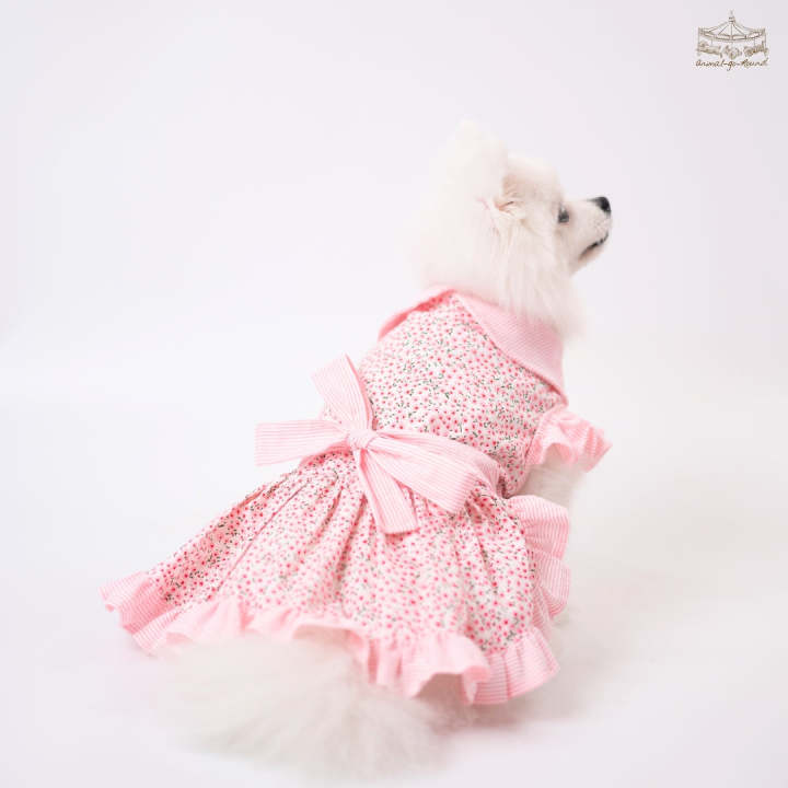 animal-go-round-เสื้อผ้าเครื่องแต่งกาย-สัตว์เลี้ยง-หมา-แมว-สุนัข-รุ่น-baby-bloom-pink