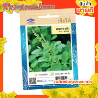 เมล็ดพันธุ์ผัก เมล็ดกระเพราป่า เจียไต๋ ( holy basil seed ) บรรจุ 2070 เมล็ด/ซอง ขนาด 15 บาท ตรา เครื่องบิน