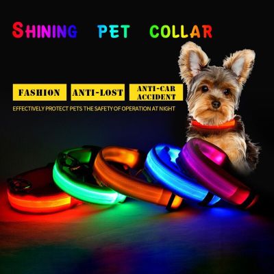 Shining Pet Dog Collar LED Light Pet Collar Traction Flashing Safe Adjustable Belt Anti-Lost Avoid Car Accident Night Decoration Leashes