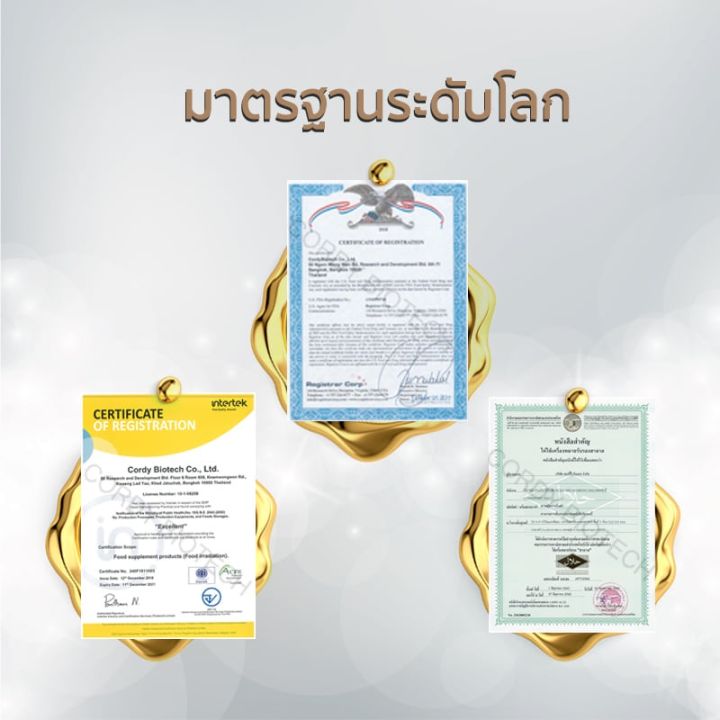 ถั่งเช่าคอร์ดี้ไทย-cordythai-ถั่งเช่า-งานวิจัยม-เกษตรของแท้-สิทธิบัตร-ม-เกษตรศาสตร์-สูตรใหม่-60-แคปซูล-แถมฟรี-10-แคปซูล