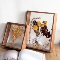 【CW】 Dried Specimen Display Photo Frame Transparent Stereo Souvenir Collection Holder