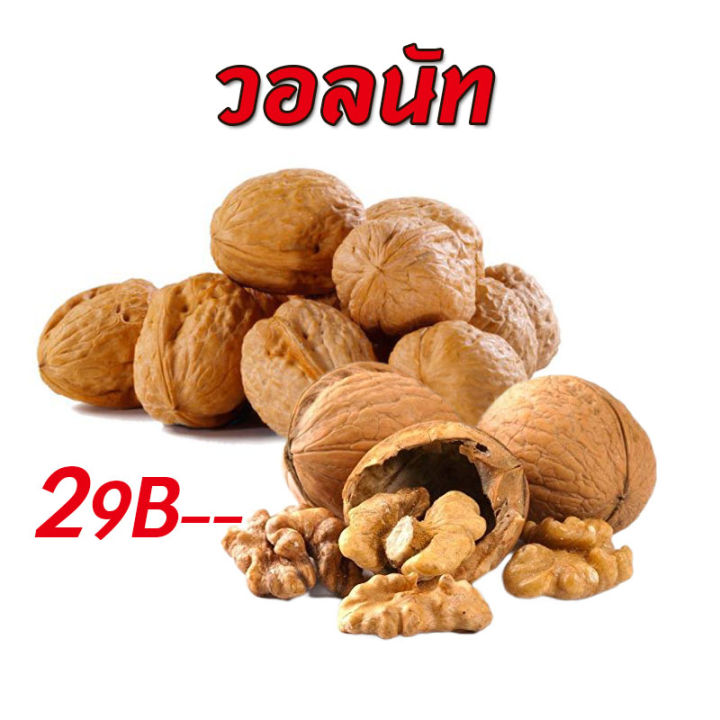 วอลนัท-walnut-สำหรับนกแก้ว-หนูแฮมสเตอร์-กระรอก-แพรี่ด็อก-และสัตว์ฟันแทะ-แบ่งขาย-5ลูก-10ลูก-20ลูก