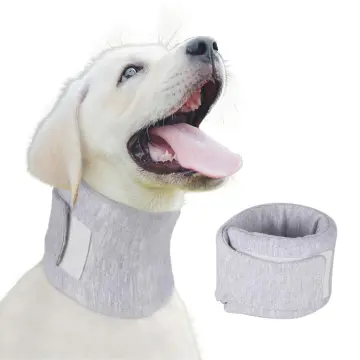 Neck brace for dogs after outlet surgery