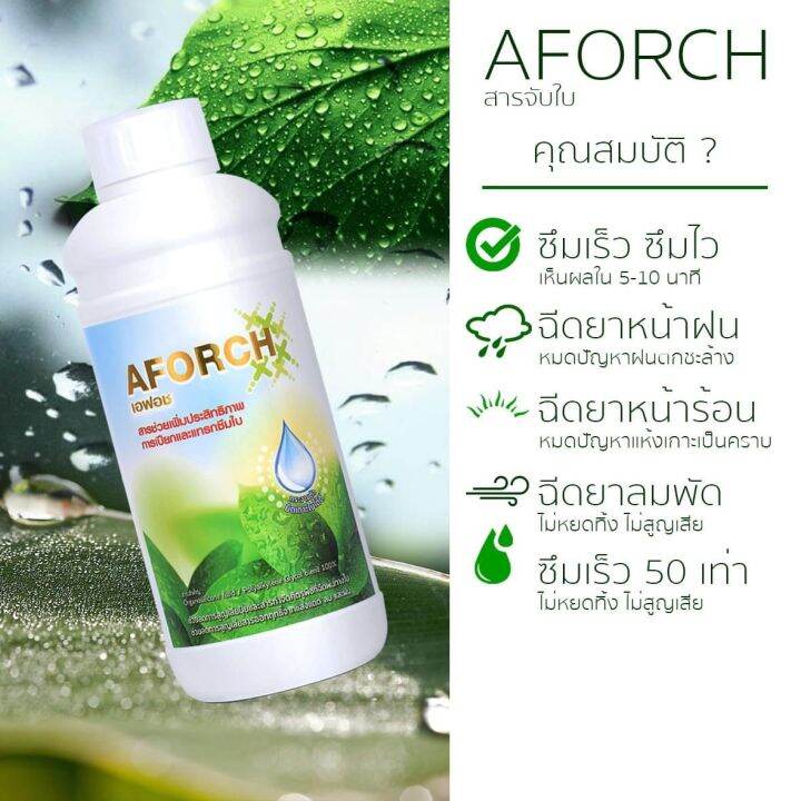 เอฟอชสารจับใบ-aforch-สารดูดซึมเอฟอช-ขนาด-1-ลิตร-ช่วยเพิ่มประสิทธิภาพการเปียกและแทรกซึมใบช่วยลดการใช้-สารจับใบ-ชนิดพิเศษ-เร่งการดูดซึม