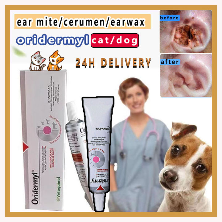 Oridermyl Ear Ointment 10g Cat & Dog Ear Drop for Ear Infection Mites ...