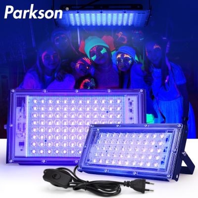 50W 100W UV Flood Light 395nm 400nm Waterproof AC220V Ultraviolet Fluorescent Stage Lamp With EU Plug For Glow Party Blacklight Power Points  Switches