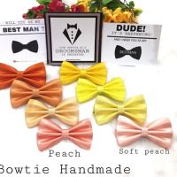 Updated Discount Tie Plain Standard (baby, ank, ) bowtie Color