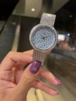 Wechat business presbyopia diamond waterproof fashion lady Dijia stainless steel mesh belt quartz watch small green