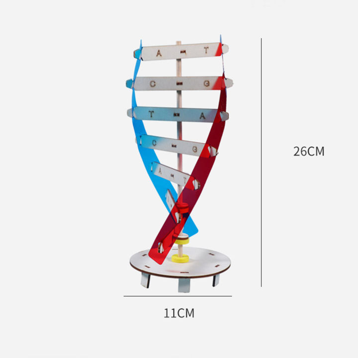 astella-โมเดลดีเอ็นเอ1ชุด-โมเดลดีเอ็นเอกระตุ้นจินตนาการการออกกำลังกายอย่างสร้างสรรค์เป็นมิตรกับสิ่งแวดล้อมพัฒนาการทางปัญญาของพ่อแม่-ลูกปฏิสัมพันธ์เพิ่มสมาธิไม้สอง-dna-มนุษย์เกลียวของเล่นเด็ก1ชุดที่น่า