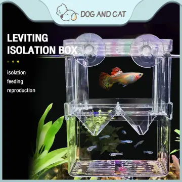 Buy Acrylic Breeding Box For Fish online