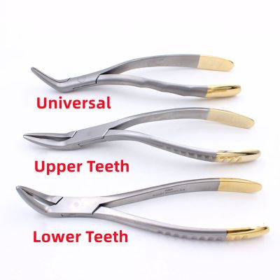 ❍ Dental Forcep Root Fragment Minimally Invasive Extraction Tooth Pliers Instrument Curved Maxillary Mandibular Teeth