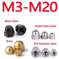 Stainless Steel Brass Black Carbon Steel Acorn Cap Nut Hex Metric Threaded Hexagon Nut M3 M4 M5 M6 M8 M10 M12 M14 M16 M18 M20 Nails Screws Fasteners