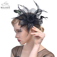 WELROG Fascinators For Women Mesh Ribbons Feathers Fedoras Hat Headband Hair Clip tail Tea Party Headwear for Girls