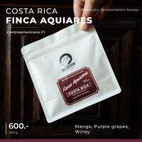 Cherrydog I เมล็ดกาแฟ คั่วอ่อน คอสตาริกา Costarica Finca aquiares centroamericano F1 200g I อราบิก้า100%