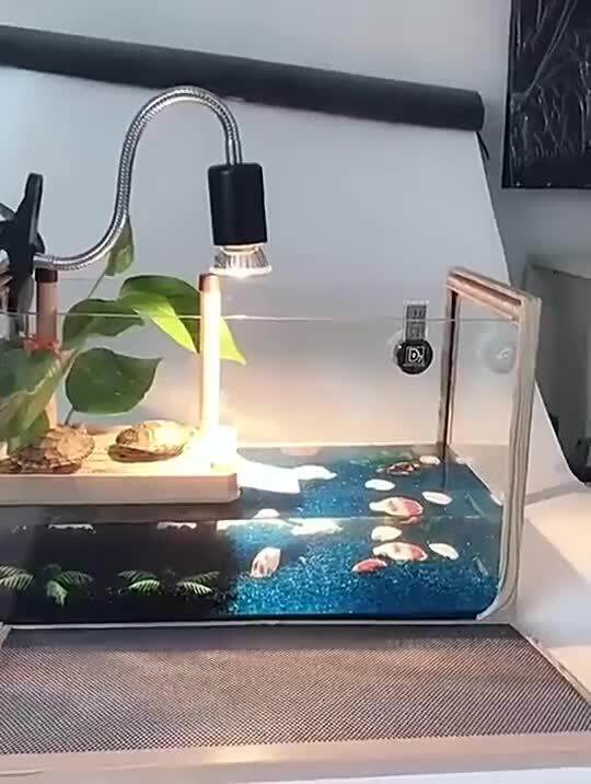 Reptile Terrarium Hygrometer Digital Display Rearing Reptiles Tank