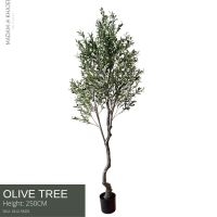 Olive Tree - Height 250 cm ต้นมะกอก ความสูง 250 ซม.ต้นไม้ปลอมเกรดพรีเมี่ยมเพื่อการตกแต่ง ต้นไม้ประดิษฐ์ตกแต่งบ้าน คอนโด