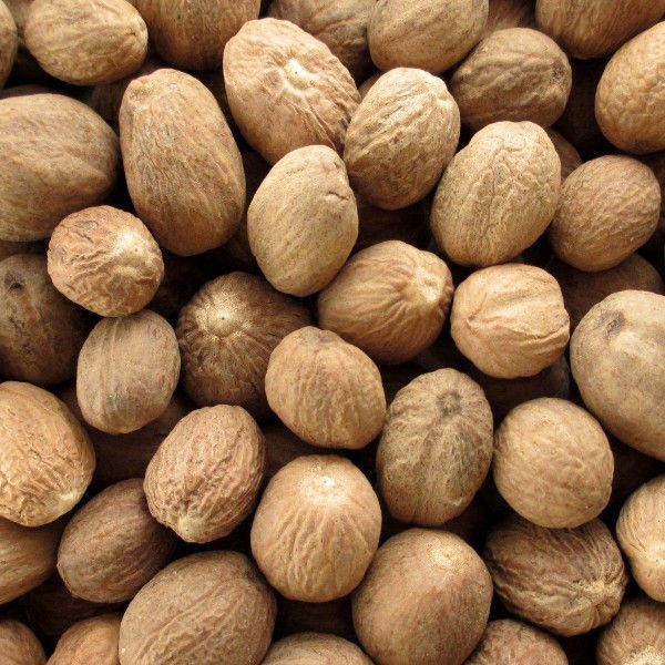 ถั่วลูกจันทน์เทศ-jaayaphal-nutmeg-nuts-50-grams-to-1000-grams