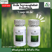 Wheatgrass &amp; Alfalfa Plus ? ผลิตภัณฑ์อาหารเสริม ผักอัดเม็ดแอมสตรอง เม็ดสีดำ ช่วยในการบำรุงสายตา เสริมวิตามินให้ร่างกาย ( 2 กระปุก 240 เม็ด )