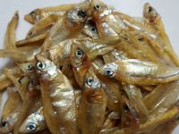 ปลาแห้งสำหรับ isopod ไอโซพอด