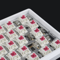 Transparent Screw-in Mechanical Keyboard PCB Stabilizers 2x 6.25x 7x Salite Axis For DIY Keyboard Modifier Keys 60 80 100