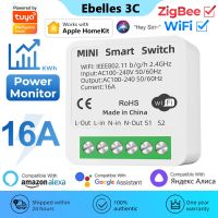 【YD】 HomeKit Tuya ZigBee WiFi Module with 16A for Siri