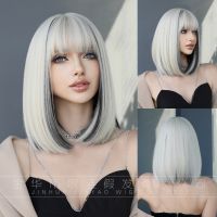 WIGCUBE  วิกผม พรีเมี่ยม ไล่ระดับสี ปลายตรง ผมตรง 39cm แถม net ฟรี วิกผมคอสเพลย์ Hair Wig